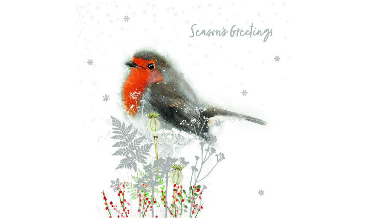 frosty robin cards