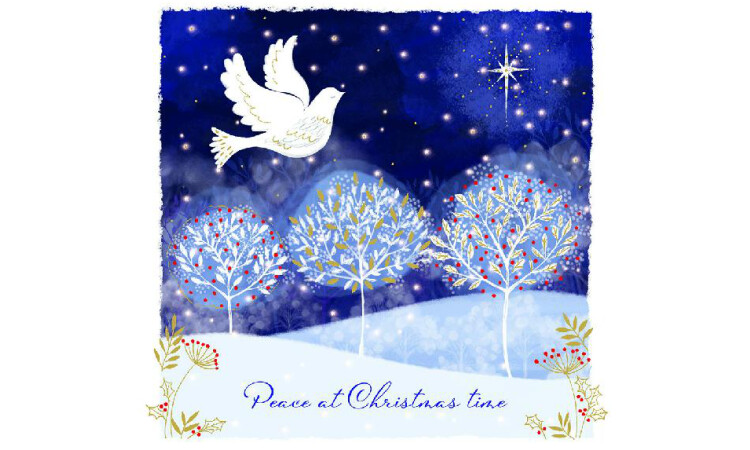 winter dove