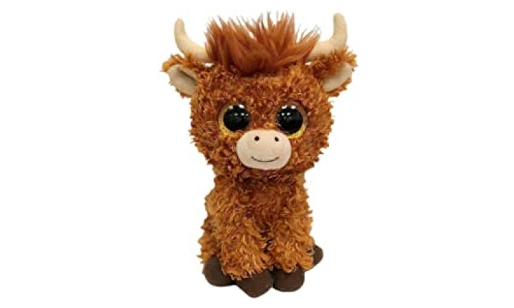 angus the highland coo