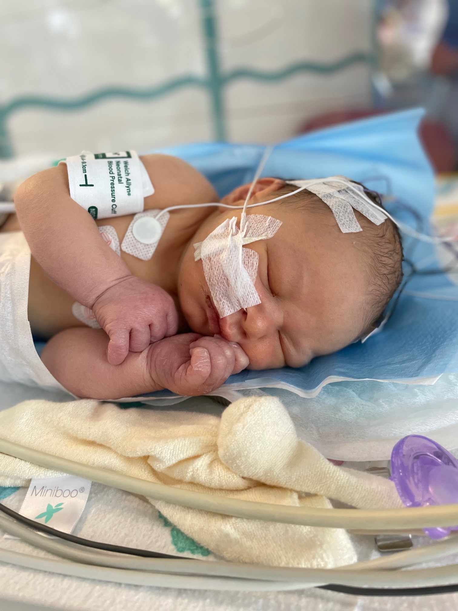 reuben nicu