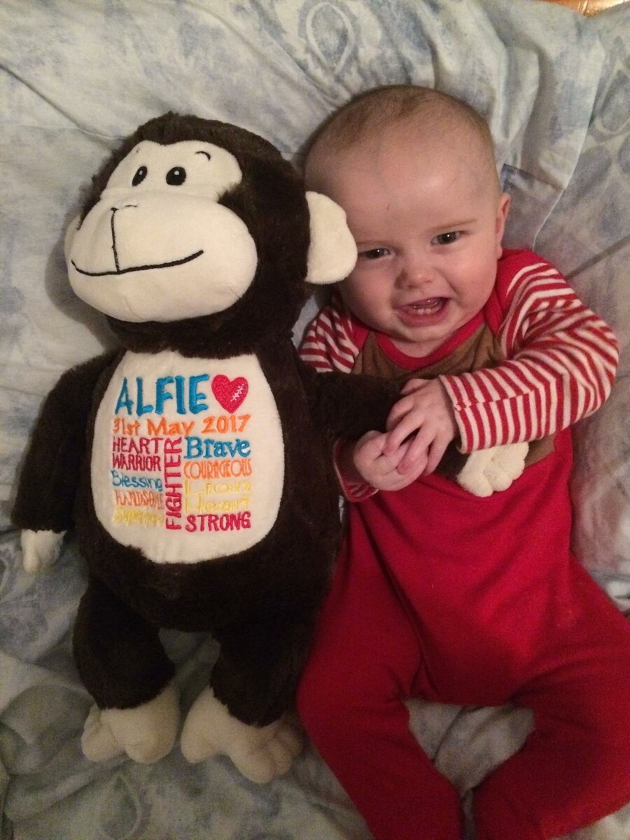 Alfie Baby monkey