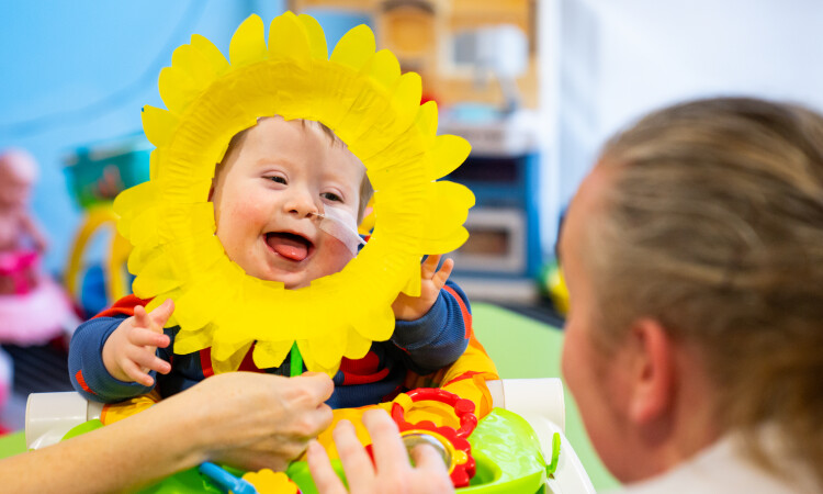 Alfie Sunflower