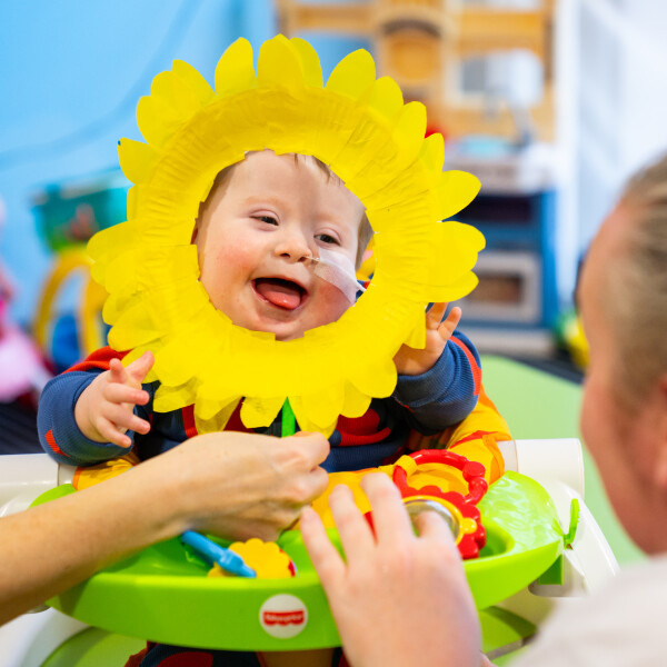 Alfie Sunflower