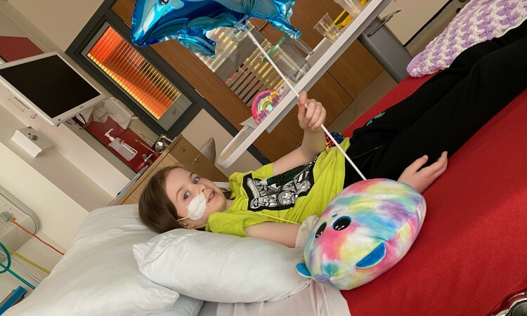 Abbie hosp bed