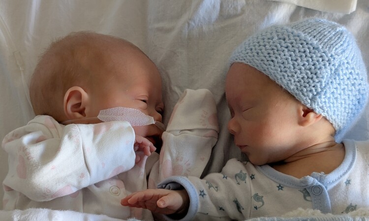 Twin Cot