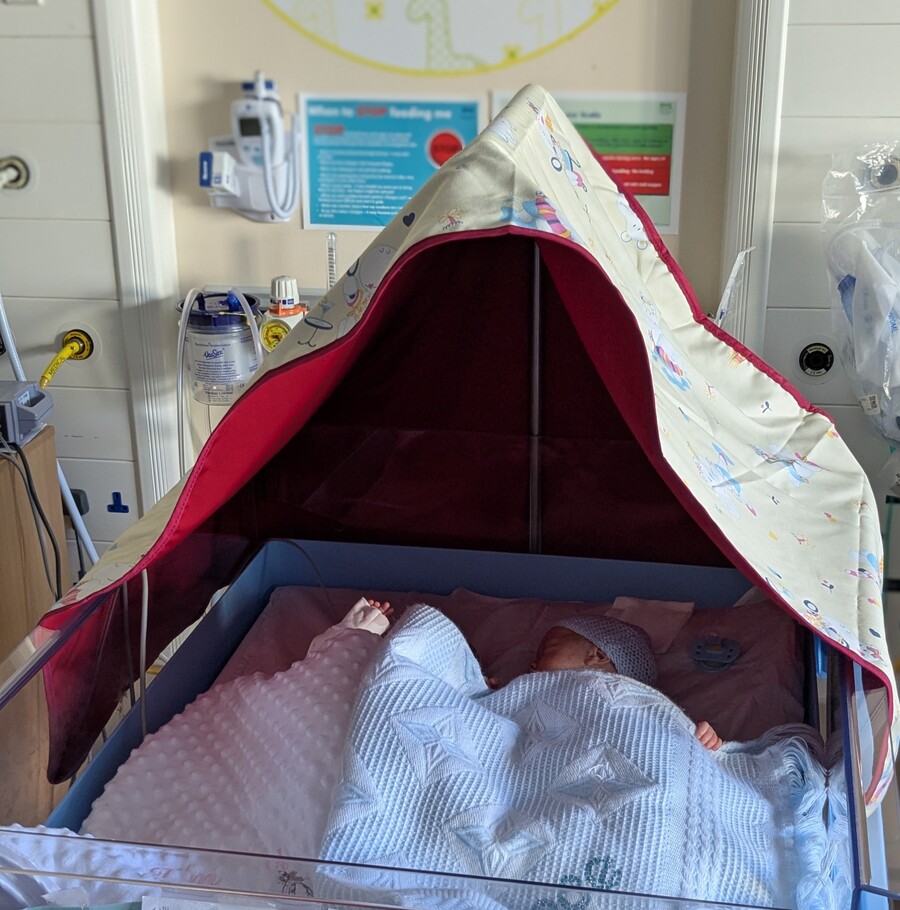 Twin Cot (Crop)