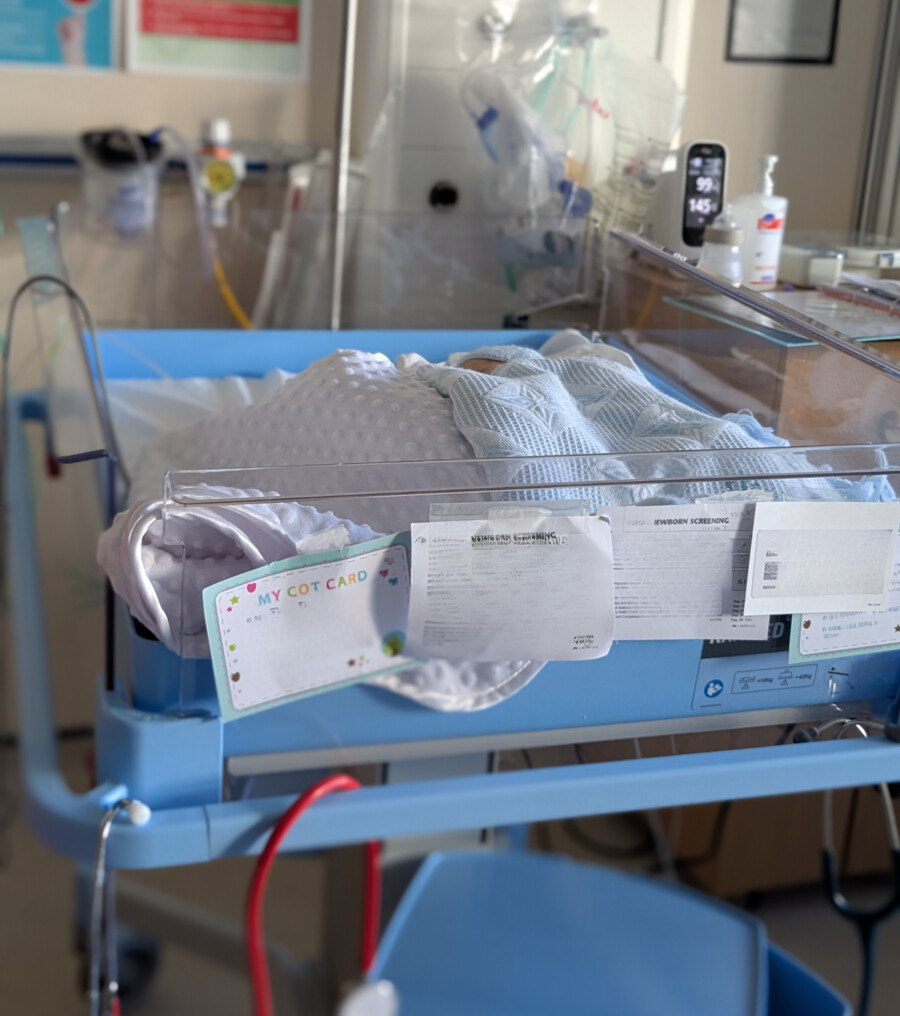 Twin cot 3