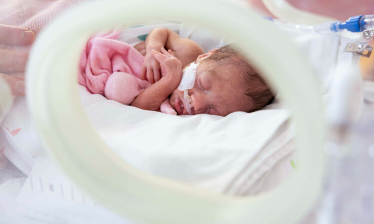 A baby in an incubator